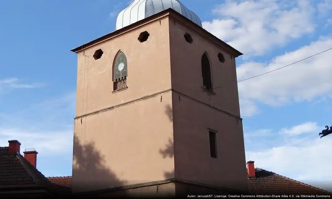 Mistrzostwa MMA Polska w Warszawie – Sukces zawodników z Niepołomic